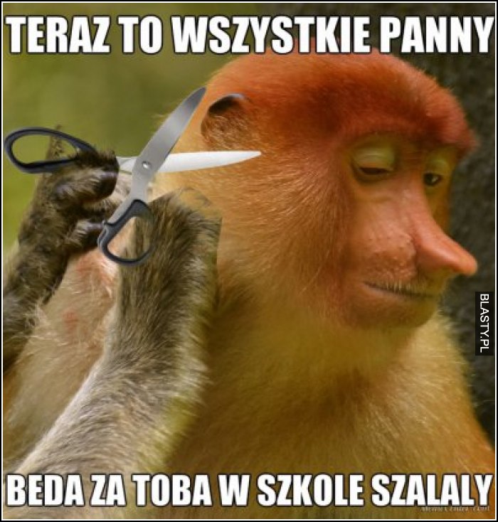 teraz-to-wszystkie-panny-beda-w_2017-05-10_18-21-50.jpg.8ba89cbb144869bd0a6ec45ec4c853e2.jpg